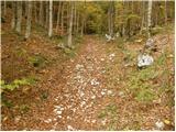 Stara Fužina - Planina Krstenica